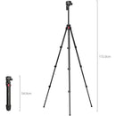 SmallRig Portable Aluminum Video Tripod with Center Column (67.7")