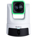 BirdDog XL Ultra PTZ Camera with 20x Optical Zoom & Secondary Built-In Panoramic Camera (White)