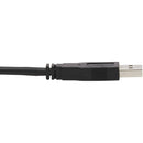 Tripp Lite P783-006-DPU 3-in-1 DisplayPort, USB, and 3.5mm Audio KVM Cable Kit