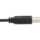 Tripp Lite P783-006-DPU 3-in-1 DisplayPort, USB, and 3.5mm Audio KVM Cable Kit
