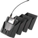 StageStrike Packholder Packholder for Audio-Technica (Set of 4, Black)