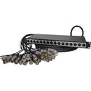 CBI Cables ES16-10/10 Rack-Mounted Ear Splitter (16-Channel, 10/10' Snakes, 1 RU)