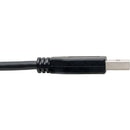 Tripp Lite USB-C to USB-A Cable (M/M) USB 3.1 Gen 1 (5 Gbps) Thunderbolt 3 Compatible, 6' (Black)