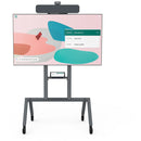 Heckler H720 AV Cart for Google Meet Series One Room Kit (Black Gray)