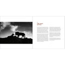 Rocky Nook Light, Space, and Time: Essays on Camera Craft and Creativity