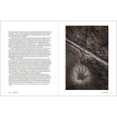 Rocky Nook Be Extraordinary: Philosophical Advice for Photographic and Other Artists