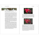 Rocky Nook The Fujifilm X100VI: 130 X-Pert Tips to Get the Most Out of Your Camera