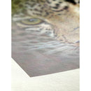Hahnemuhle Bamboo Fine Art Paper (60" x 39' Roll)
