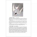 LCIX Editions Birds of South Carolina Vol. 1