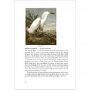 LCIX Editions Birds of South Carolina Vol. 1