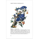 LCIX Editions Birds of South Carolina Vol. 2