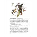 LCIX Editions Birds of South Carolina Vol. 2