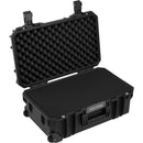 GUTEK Tortoise T-300 20" Carry-On Protector Case (30L, Black)