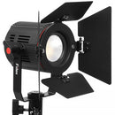 Fiilex P180S ENG Bi-Color On-Camera LED Light