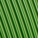 Polymaker Panchroma CoPE Filament (1kg, Jungle Green)