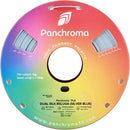 Polymaker Panchroma Dual Silk PLA Filament (1kg, Silver & Blue Beluga)