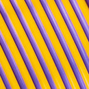 Polymaker Panchroma Dual Silk PLA Filament (1kg, Gold & Purple Sovereign)