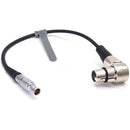 DigitalFoto Solution Limited ARRI TRINITY 4-Pin Power Cable for Sony VENICE & Canon C400
