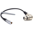 DigitalFoto Solution Limited ARRI TRINITY 4-Pin Power Cable for Sony VENICE & Canon C400