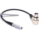 DigitalFoto Solution Limited ARRI TRINITY 4-Pin Power Cable for Sony VENICE & Canon C400