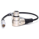 DigitalFoto Solution Limited ARRI TRINITY 4-Pin Power Cable for Sony VENICE & Canon C400