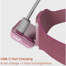 BioLite Range 300 Headlamp (Wild Fig)