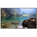 Hisense WH80F 55" UHD 4K HDR Window-Facing High-Brightness Commercial Monitor