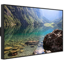 Hisense WH80F 55" UHD 4K HDR Window-Facing High-Brightness Commercial Monitor