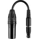 Hollyland HL-CB02 Adapter Cable 8-Pin LEMO to 4-Pin XLR