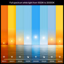 Philips Hue A19 Bulb with Bluetooth (White Ambiance, Matter, 2-Pack)
