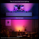 Philips Hue Play Wall Washer (Black, 2-Pack)