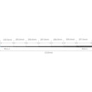 SmallRig Selfie Stick for Action Cameras (59")
