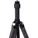 Really Right Stuff Carbon Fiber Center Column Riser