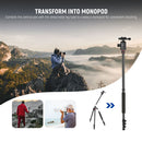 Neewer TP77 2-in-1 Aluminum Tripod with Ball Head, Phone Holder & Remote