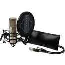 Sontronics STC-2 Large-Diaphragm Condenser Microphone with All-in-One Recording Package (Silver)