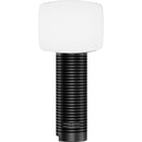 LENSGO 40SHC PRO Retro Handheld Bi-Color LED Light