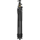 Vanguard Alta Pro 2+ 263AB Aluminum Tripod with BH-60 Ball Head (Gen 2)