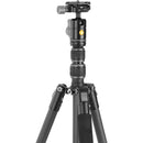 Vanguard VEO 3 GO 204CB Carbon Fiber Travel Tripod with BH-45 Ball Head (Gen 2)