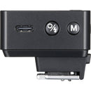 Godox iT20 R TTL Mini Flash for Ricoh (Black)