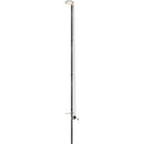 Hi Rise Camera Air 21NE Solo Carbon Fiber Monopod System