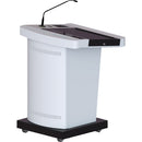 TEMAS ML22T Digital Lectern 22" Multi Touch Speaker Screen