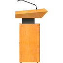 TEMAS TW23P Digital Lectern 22" Multi Touch Speaker Screen