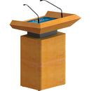 TEMAS TW23P Digital Lectern 22" Multi Touch Speaker Screen