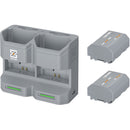 ZGCINE Travel Charging Case Kit with 2 NP-FZ100 Batteries (2600mAh, Gray)