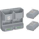 ZGCINE Travel Charging Case Kit with 2 NP-FZ100 Batteries (2600mAh, Gray)