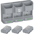 ZGCINE Travel Charging Case Kit with 3 LP-E6P Batteries (2600mAh, Gray)