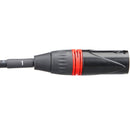 Kopul Four-Channel XLR Male Fanout to RJ45 Network Extender