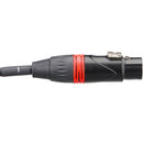 Kopul Four-Channel XLR Female Fanout to RJ45 Network Extender