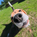 Insta360 Micro Lens for GO 3S