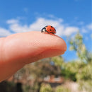 Insta360 Micro Lens for GO Ultra